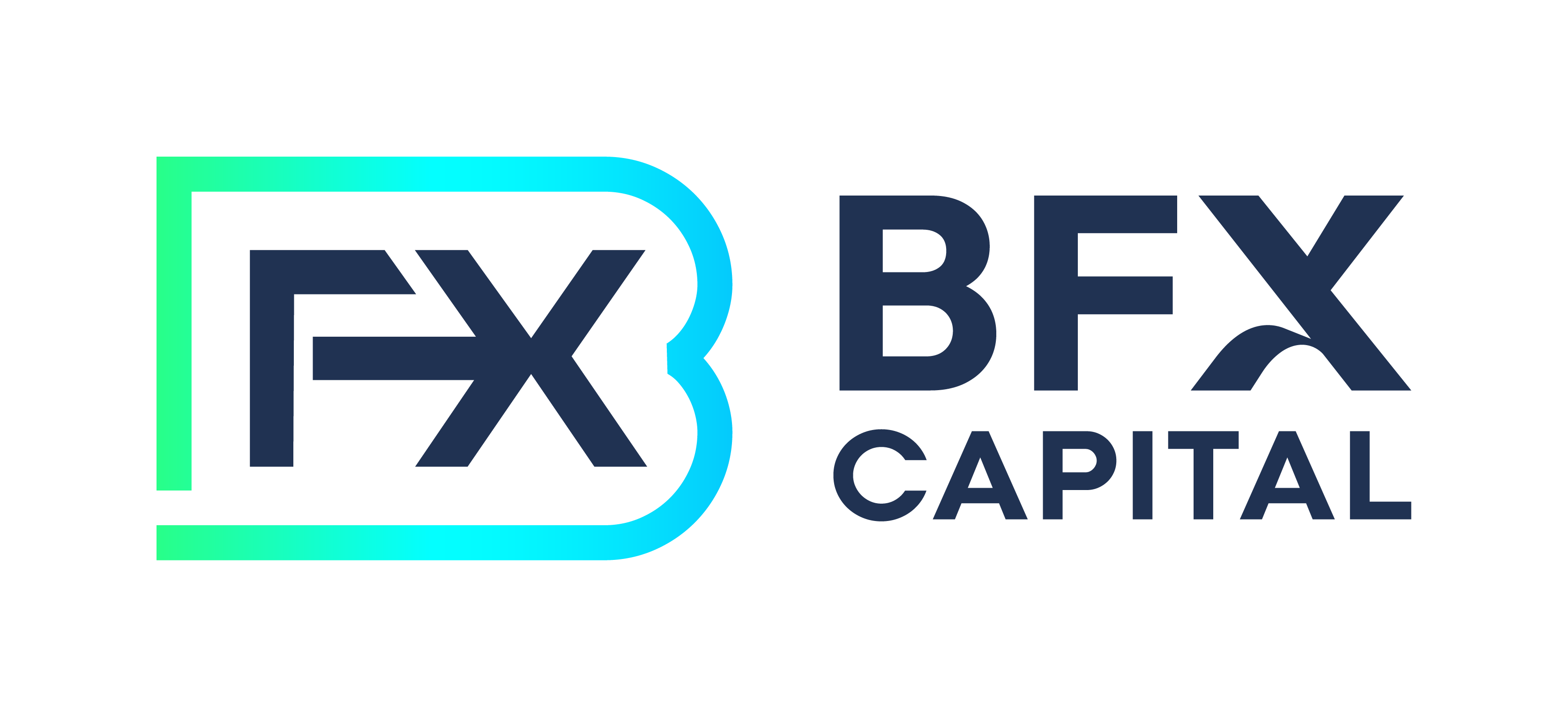 BFX Capital Co.,Ltd